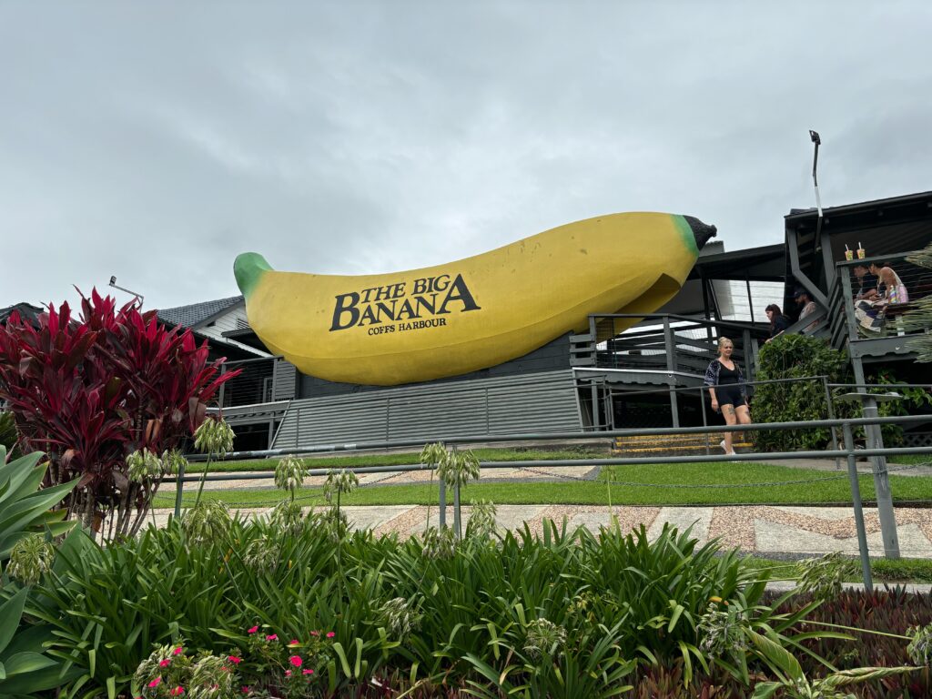 A large monument shaped in the form of a banana with the words "The Big Banana; Coffs Harbour".