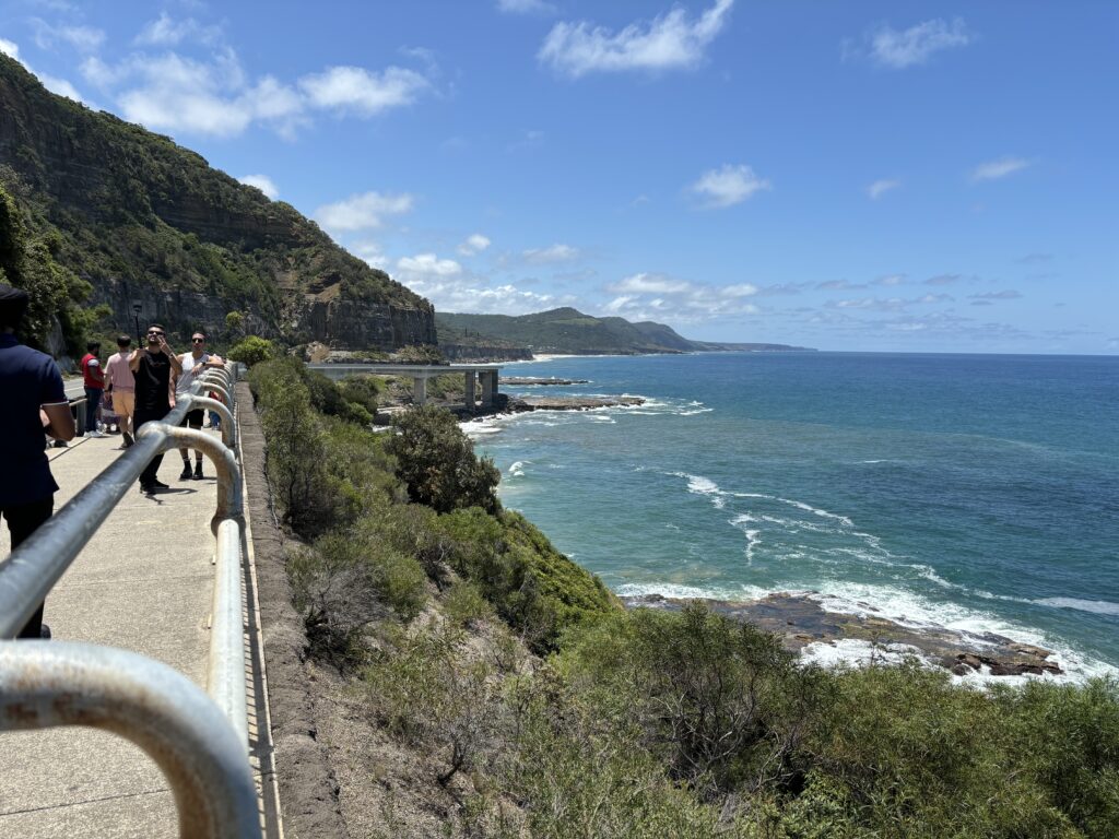 View of the eastern coastline with the Sea Cliff Bridge in the background.