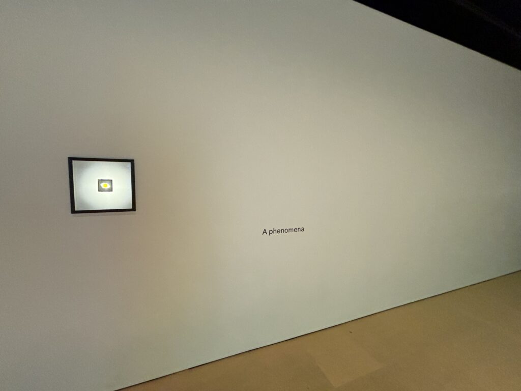 A wall in an installation at the Powerhouse Museum reads "A phenomina".
