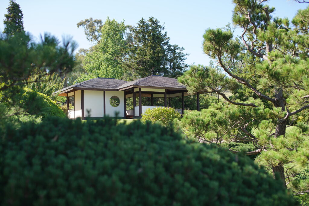 A Japanese pavilion clearly in focus, nestled in a number of trees and shrubs.